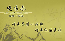 青岛晓阳工贸有限公司